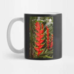 An Exotic Heliconia Mug